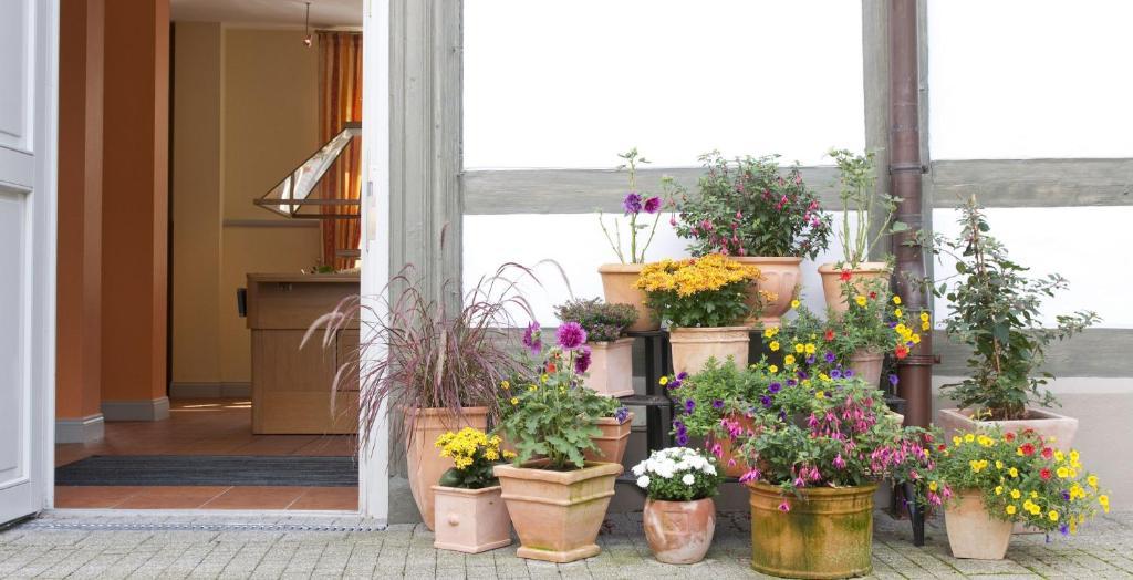 Gda Hotel Schwiecheldthaus Goslar Bagian luar foto